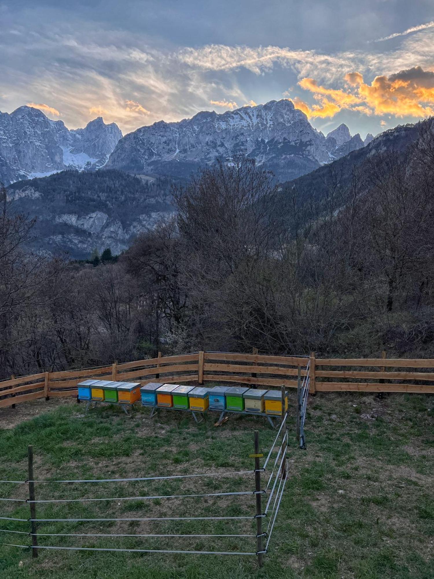 Agriturismo Ai Castioni Molveno Luaran gambar