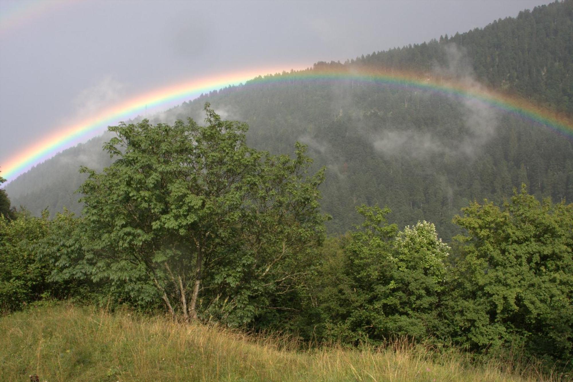 Agriturismo Ai Castioni Molveno Luaran gambar
